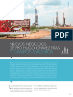 PDVSA Articulo