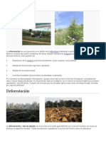 Reforestación, Deforestacion y Contaminacion