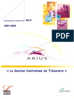 gestion de trésorerie d egroupe.pdf