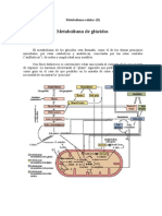 Esquema Catabolismo