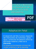 Adaptación Fetal y Neonatal, II