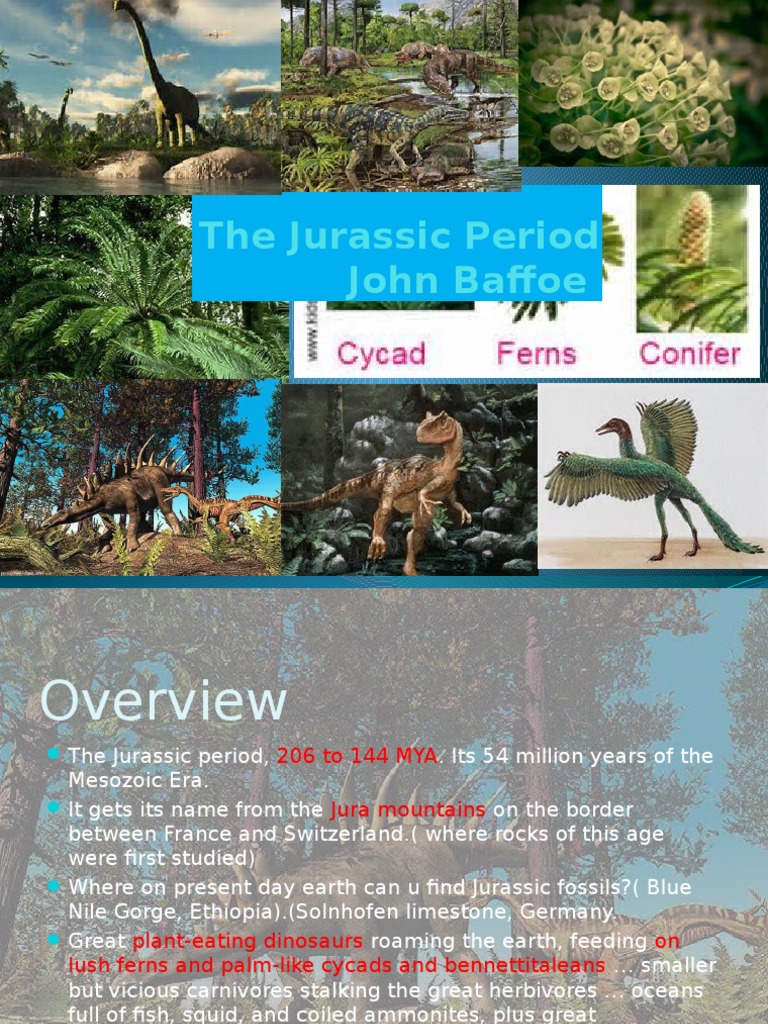 Overview of the Jurassic Period | PDF | Geology | Science