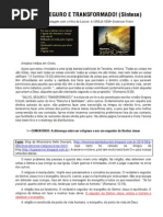 SALVO, SEGURO E TRANSFORMADO (Síntese)