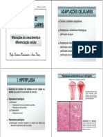 (Morfo IV - Aula 2 - Mecanismos de Adaptações Celulares)