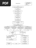 Placenta Previa Pathophysiology