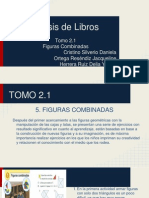 Tomo 2.1 Analisis