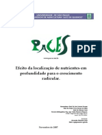 Efeito Da Localização de Nutrientes em Profundidade para o Crescimento Radicular (Fundamentos)