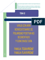 Flavivirus PDF