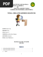 Organizadores Graficos Deber 1