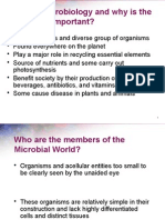 What Is Microbiology and Why Is The Study of It Important?