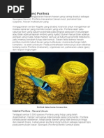 Download Filum Porifera by Sarah Zielda Najib SN279338404 doc pdf