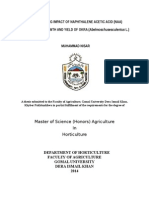 Assessing Impact of Naphthalene Acetic Acid