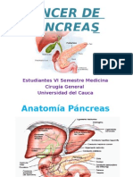 Cáncer de Pancreas
