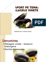 Patlagele Vinete. Ursachi Doina