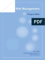 Fme Project Risk