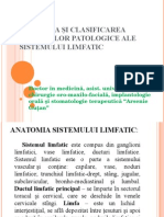 Anatomie Sistemului Limfatic