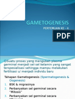Gameto Genesis