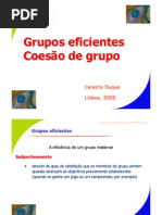 Grupos eficientes e Coesão de grupo