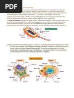 4º Básico -1-Ensayo Simce