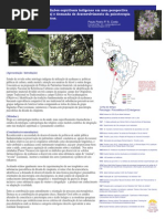 Ayahuasca, etnomedicina, psicoterapia.