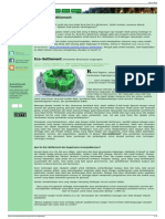 Rural Eco Settlement - GreenCitarum