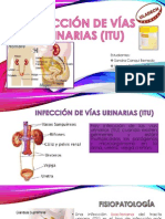 INFECCIÓN DE VÍAS URINARIAS (ITU) Sandra, Maricelly PDF