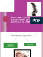 Procesos Del Parto