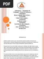 Projeto de Extensao a Comunidade