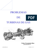 10Probl.Tgas   ciclos.pdf