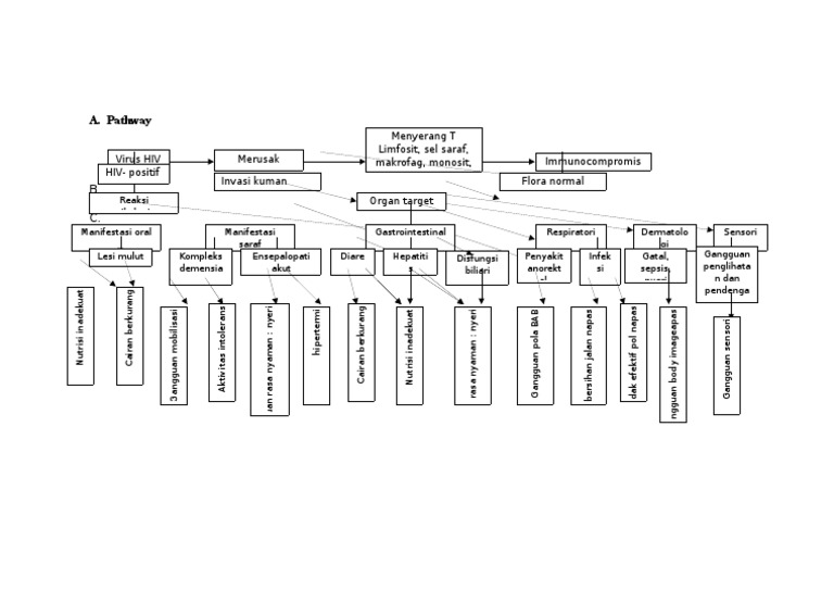 Pathway KMB | PDF