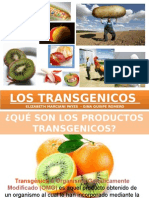 Transgenicos Mkt Int.