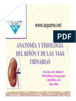 Anatomia y Fisiologia Renal