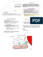 Enfermedades Producidas Por Virus