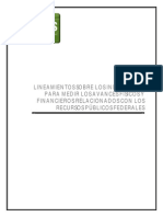 lineamientos sobre los indicadores para medir avances físicos y financieros.pdf