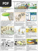 Atividades Charges Agua