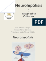 Neurohipfisis 