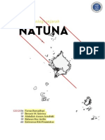 Tugas Geologi Sejarah - Cekungan Natuna