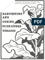 Harvesting and Curing Flue-Cured Tobacco