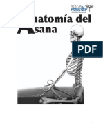 Anatomía del Asana