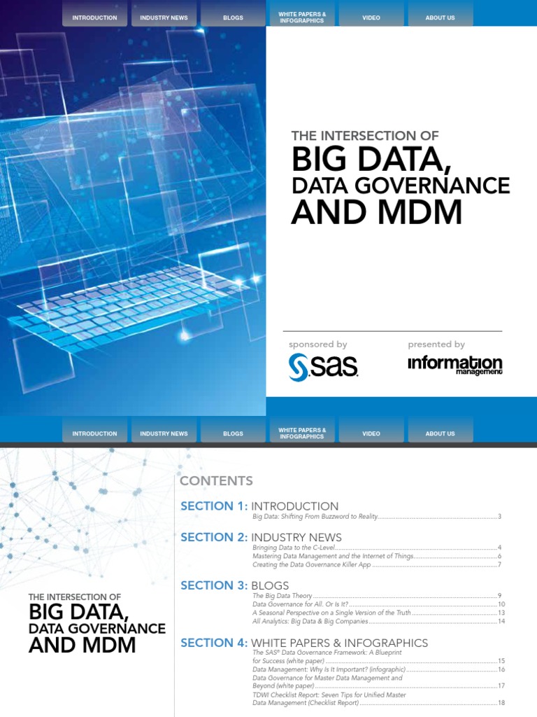The Intersection of Big Data Governance and MDM | PDF | Internet Of ...
