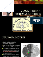 VIAS MOTORAS PRIMARIAS