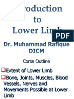 Introduction To Lower Limb Final