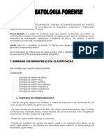 Classificação das Energias Vulnerantes