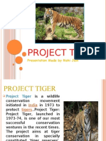 On Projec Tiger