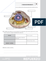 01 Fichas de Refuerzo naturales 5º primaria