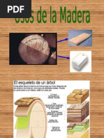 Madera y celulosa