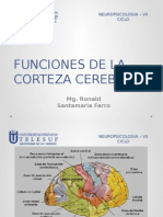 Funciones de La Corteza Cerebral