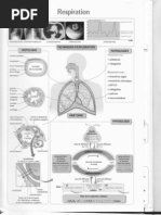 Download physio cours livre st2s respiration partie 1 by AE SN27975325 doc pdf