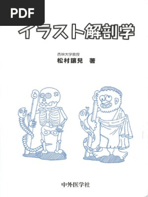 イラスト解剖学 イラスト解剖学 | PDF