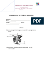 Guía de Apoyo 2 - 27.07.2015